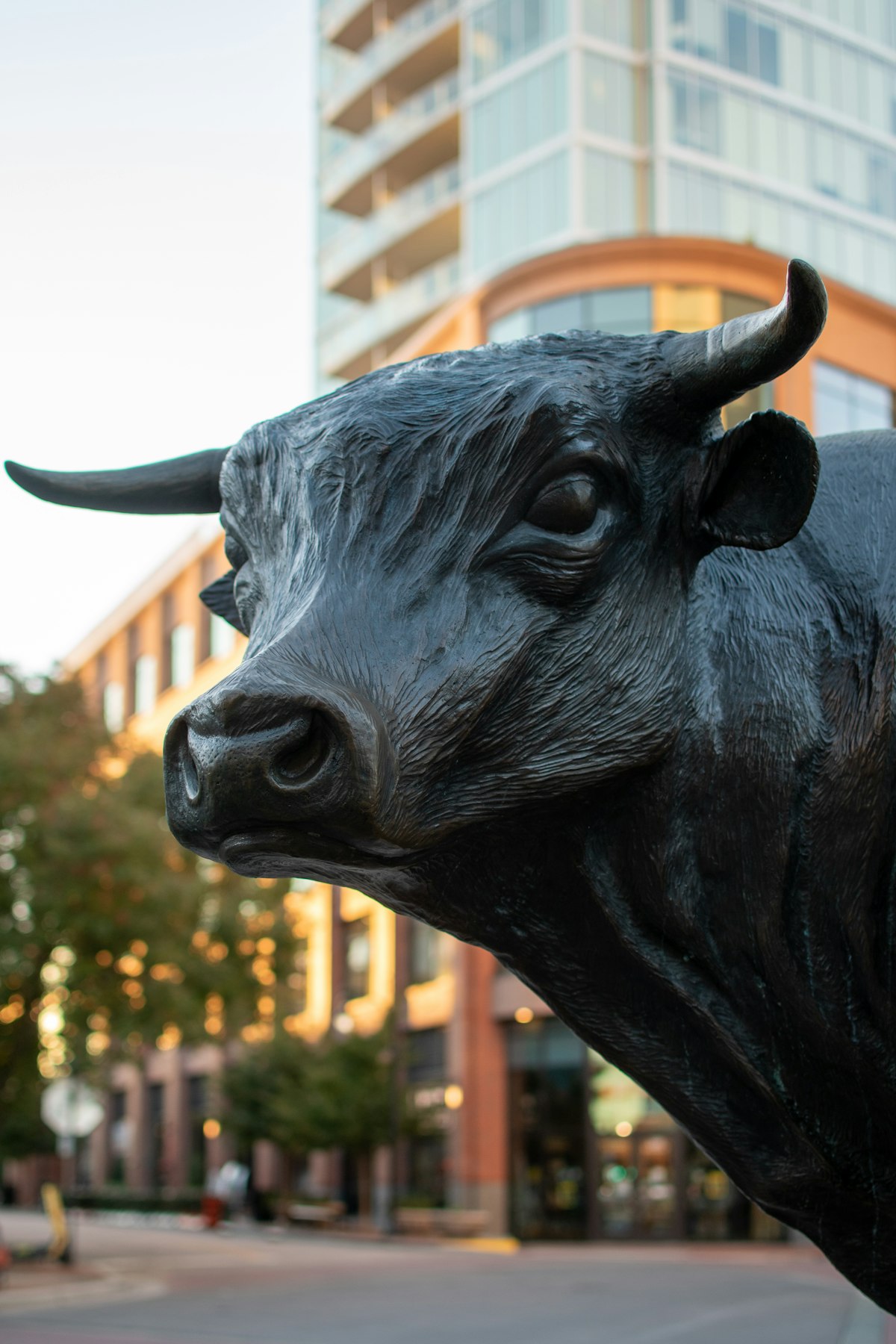 The Durham bull statue downtown